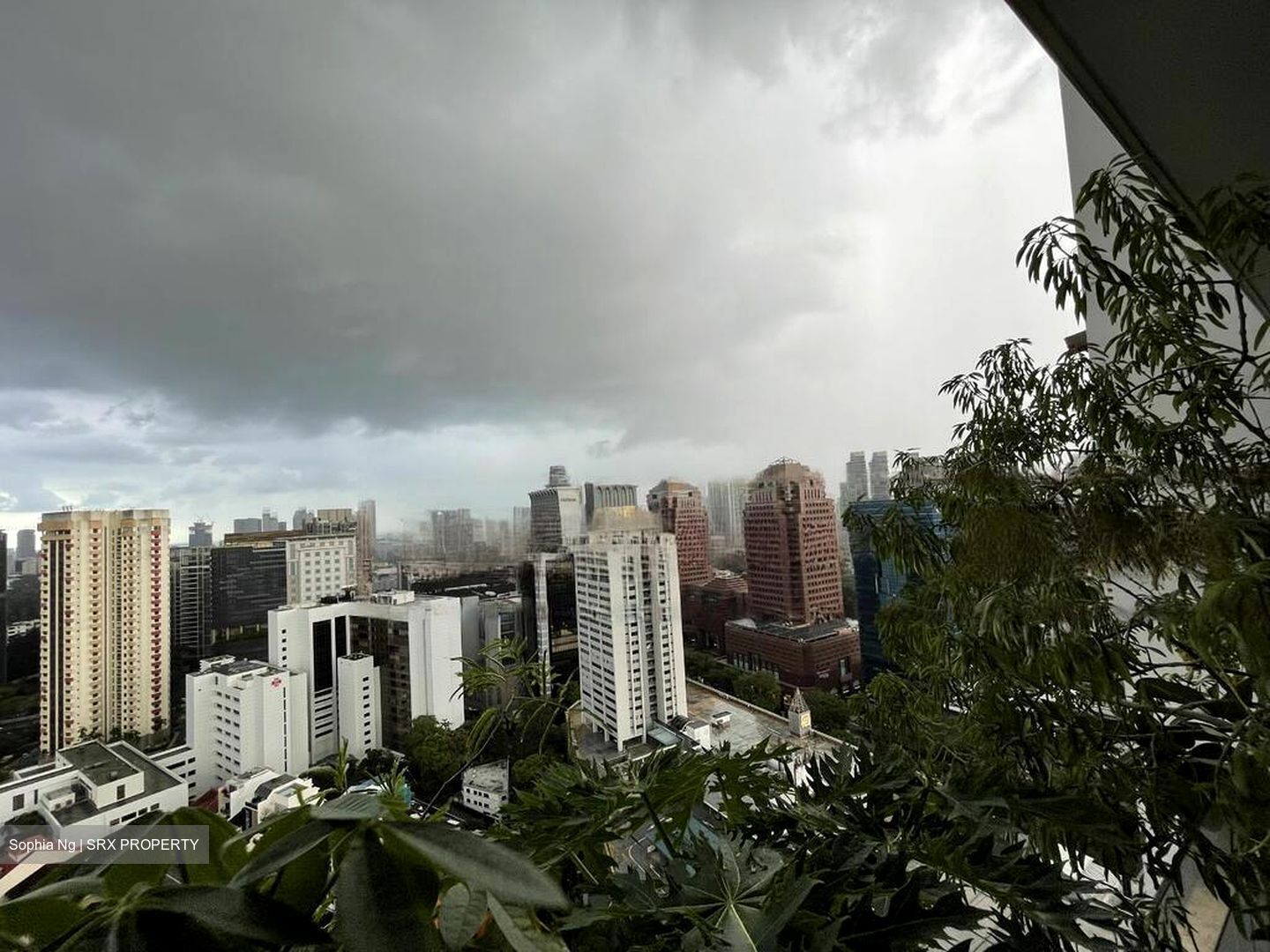 Scotts Square (D9), Apartment #465951971